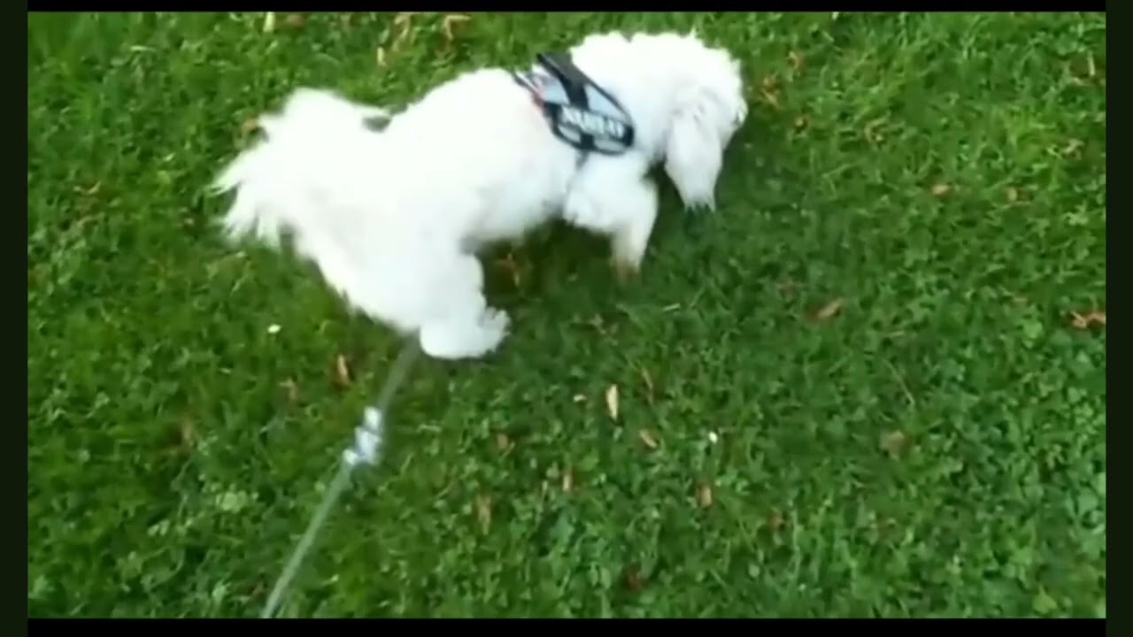 Frontrunners Ministries Tom de Wal medley. C  description https://tinyurl.com/FrontRunnersMinistries