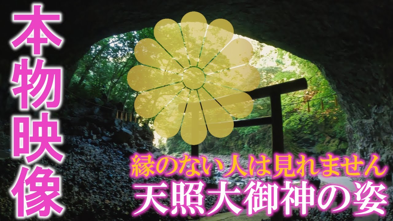⚠️神回※アマテラス様、天使、精霊が現れる奇跡の映像※もし逃したら二度とありません｜高千穂・天岩戸神社西本宮・天安河原遠隔参拝302