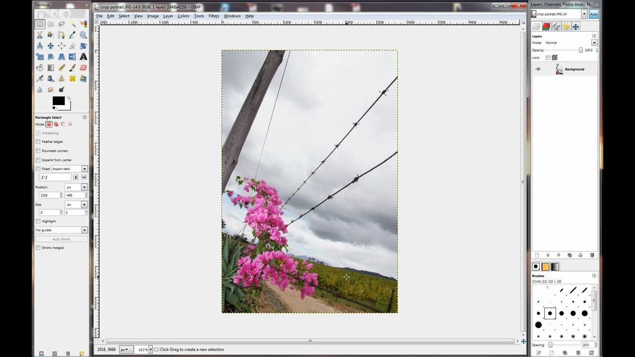 Gimp - Lesson - 05 - Cropping for Prints.avi