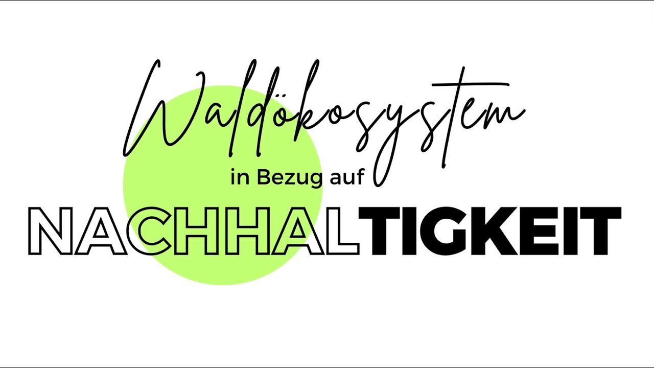Wald&ouml;kosystem im Bezug auf Nachhaltigkeit