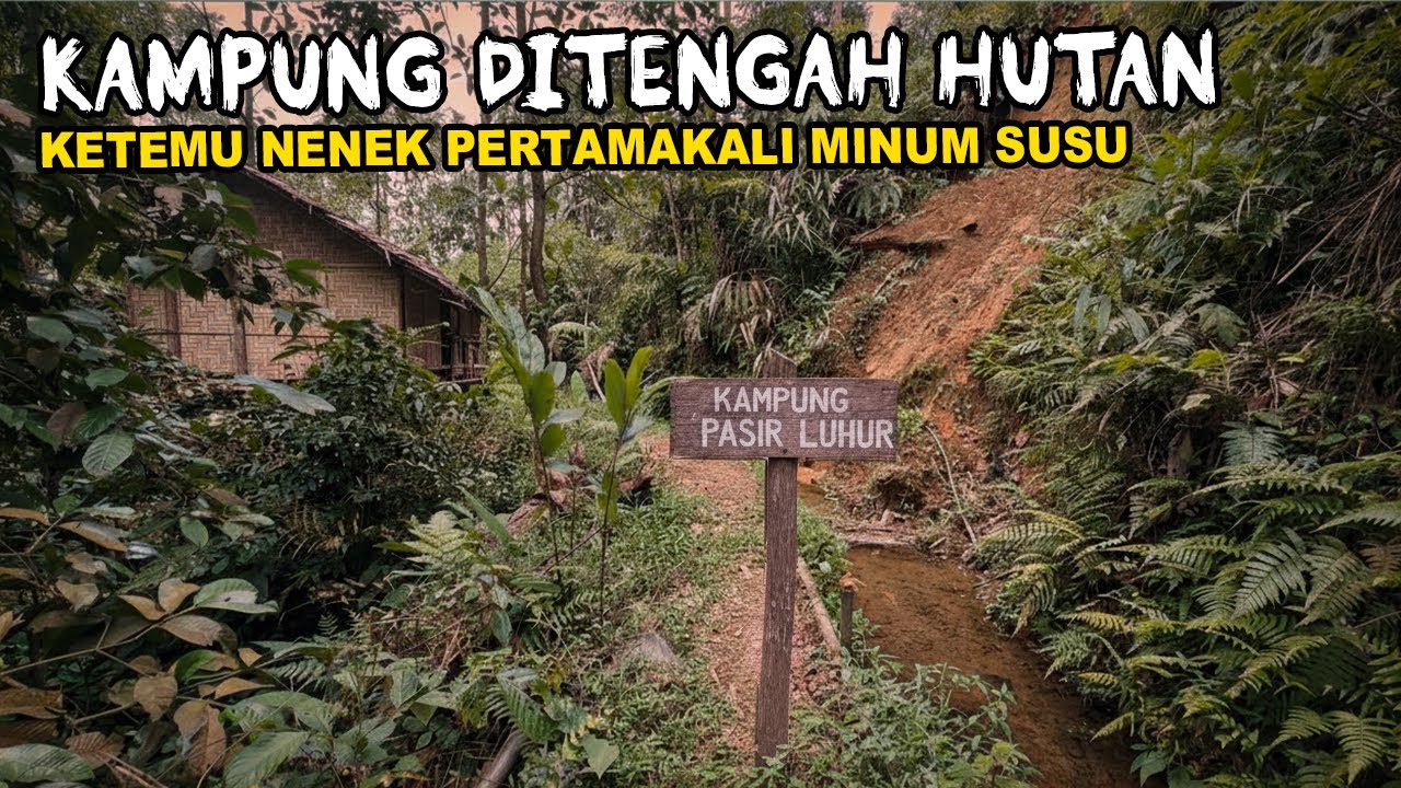 NEKAD MASUK ‼️ KAMPUNG DITENGAH HUTAN 