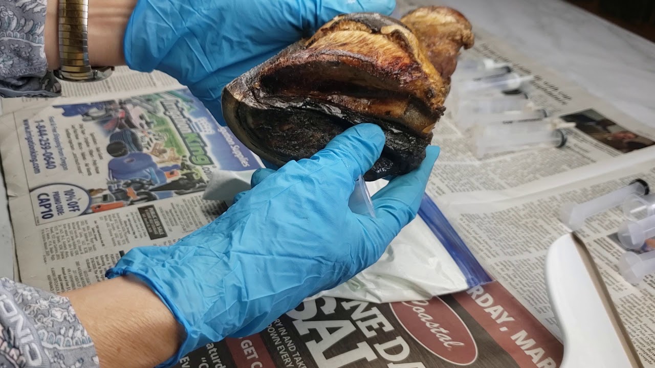 How to make the best Thrush treatment for hooves