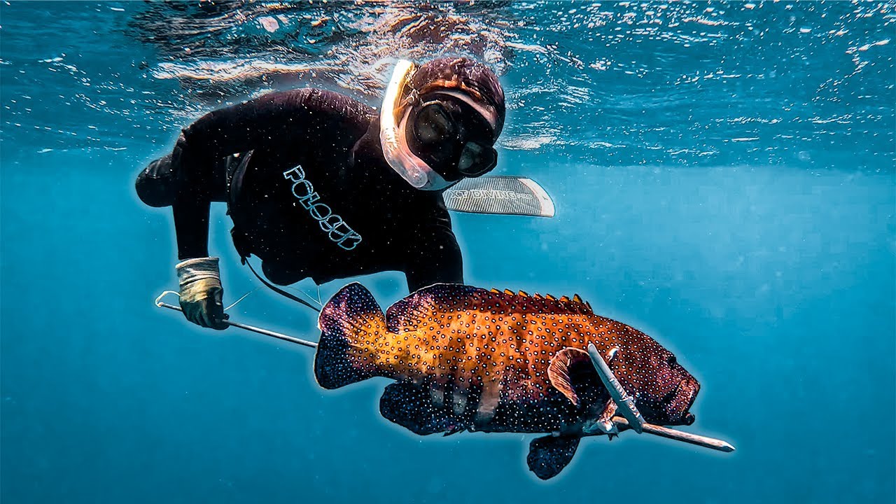 How We Practice for the Spearfishing National Championship