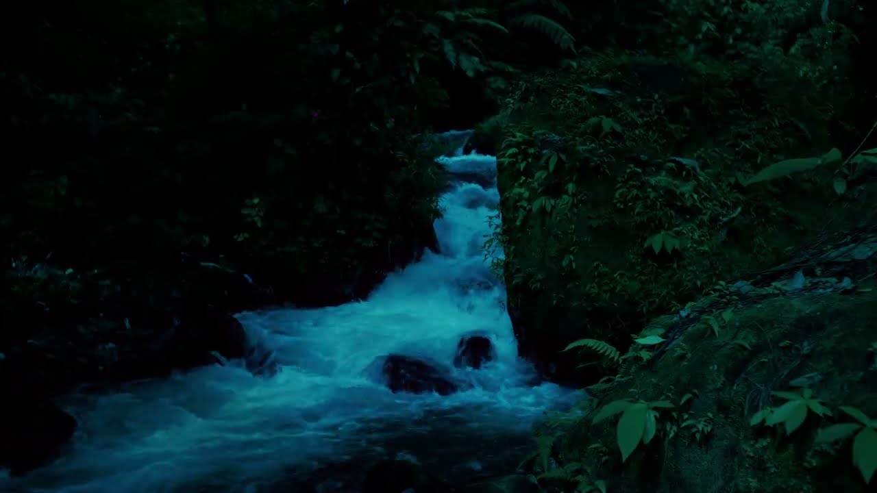 Dark Forest River Sounds at Night for Deep Sleep & Stress Relief (11 Hours) 🌿🌊