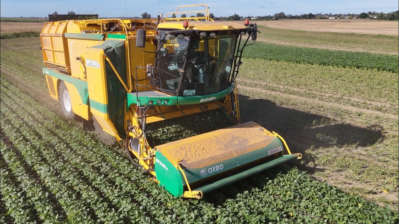 Oxbo BP 2140e Self-propelled Bean Picker