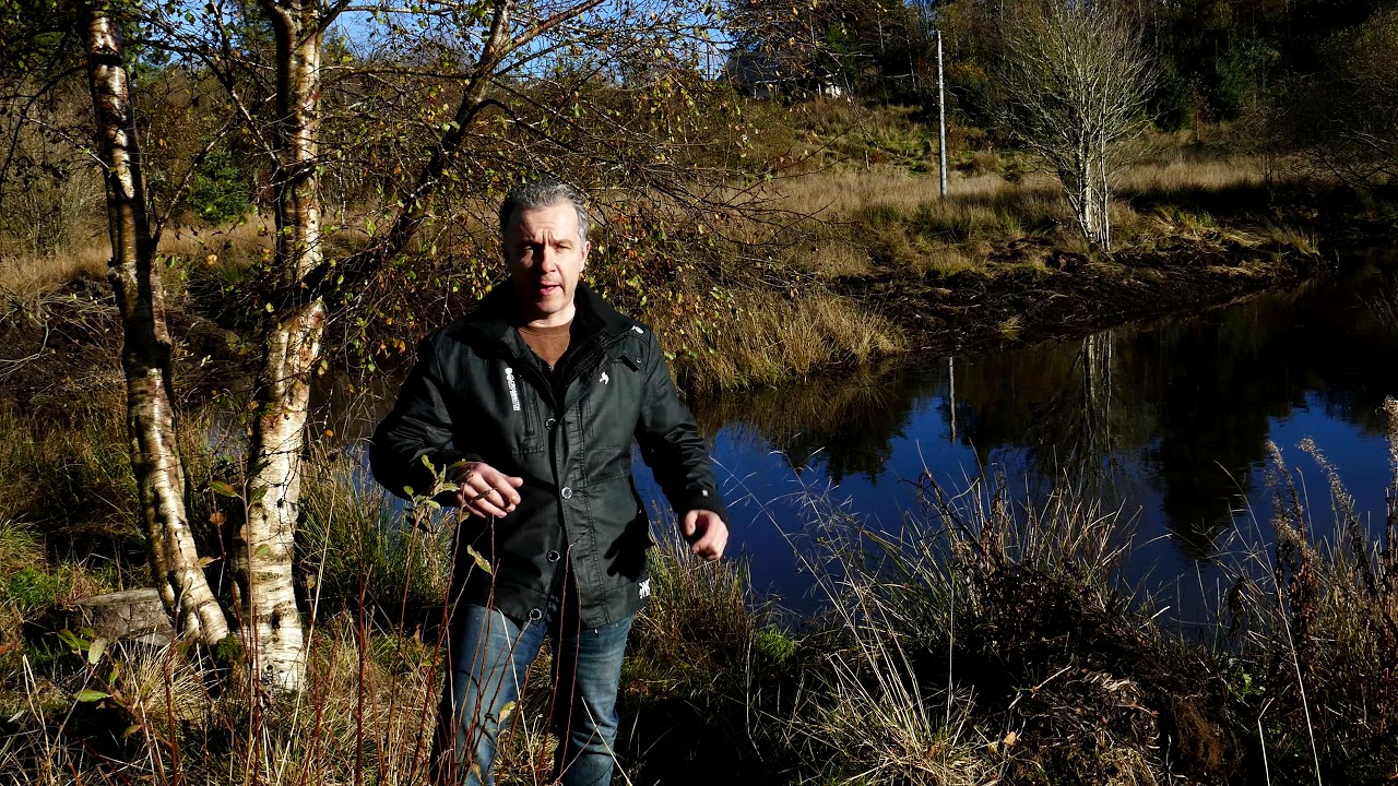 Making a really big pond for wildlife 4k
