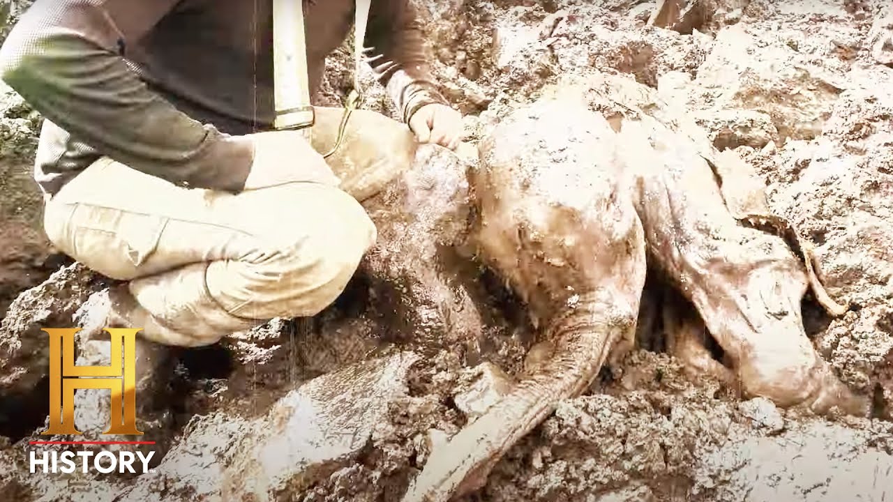 The UnBelievable: 30,000-Year-Old Woolly Mammoth Found in Canada (Season 1) | History