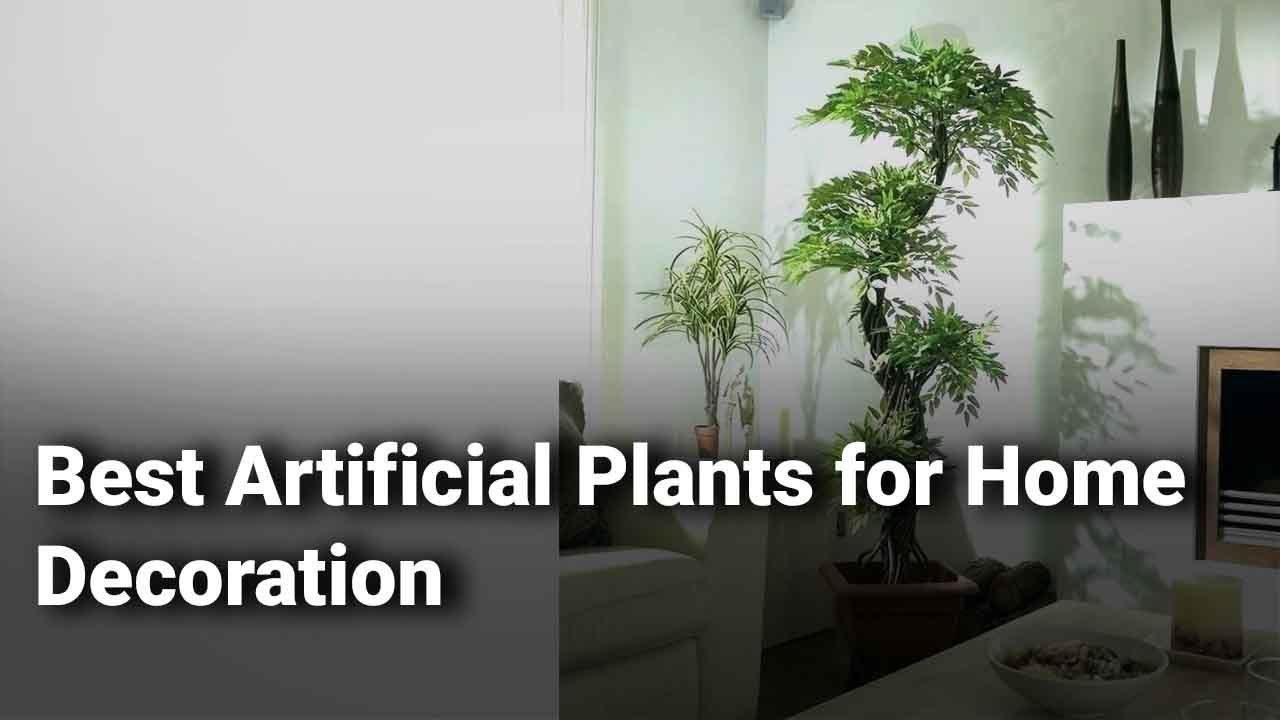 Best Artificial Plants for Home Decoration in India: Complete List with Features & Details - 2019
