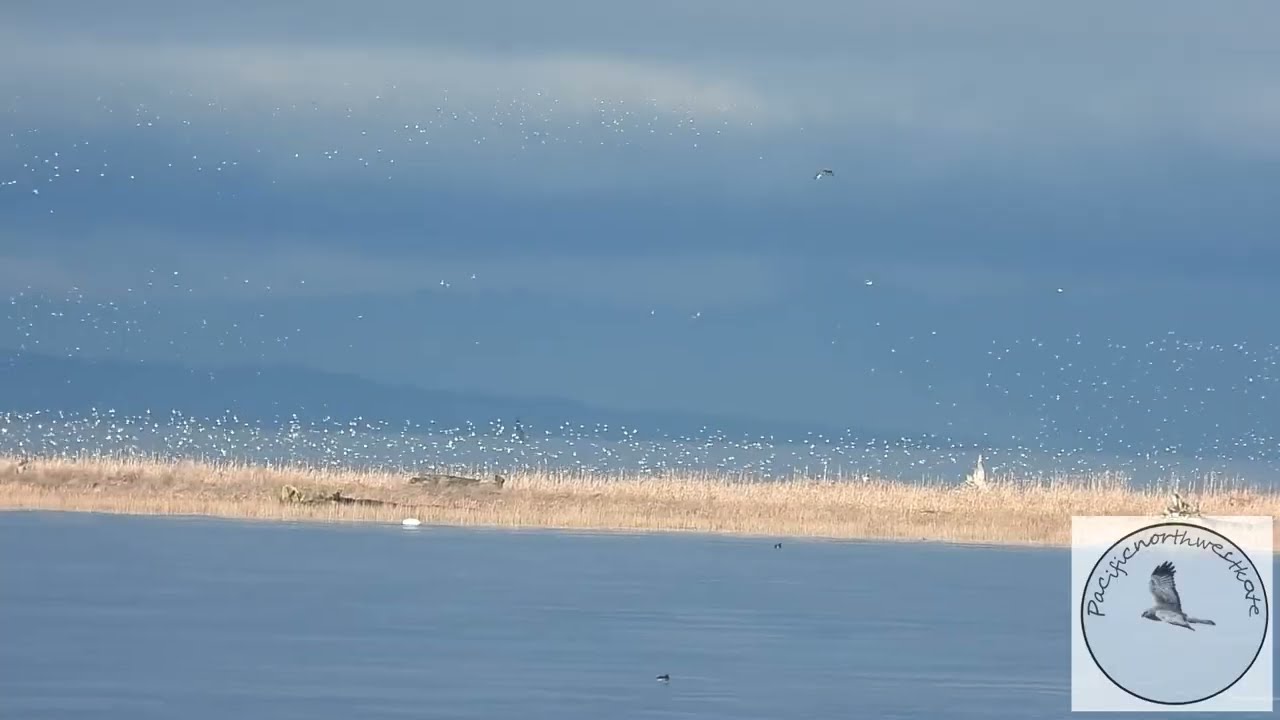 Nice morning today.....