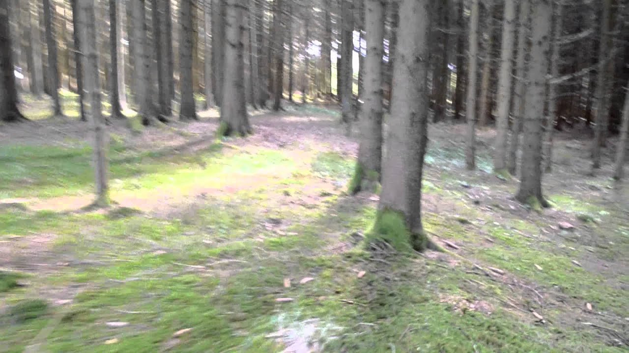 Viereckschanze Biberbach