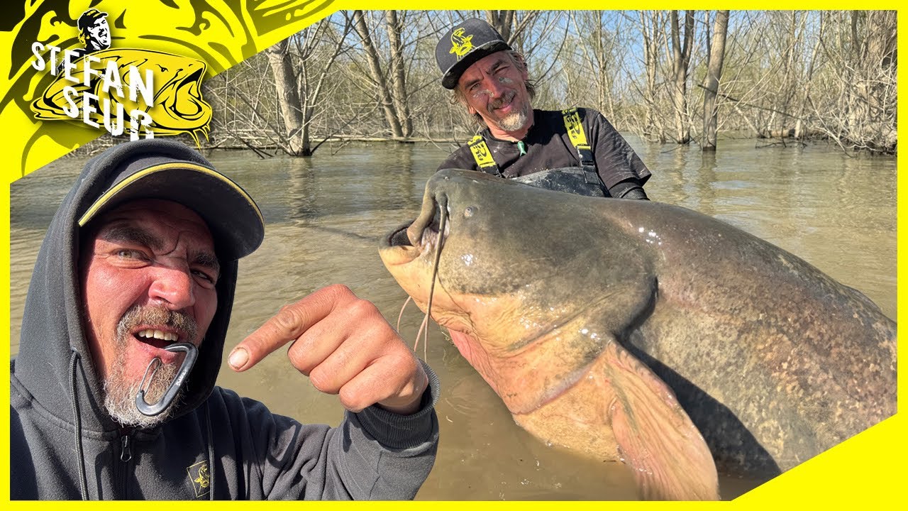Riesiger WELS zerstört ANGLER | Ein heftiger Kampf mit Fisch 🎣