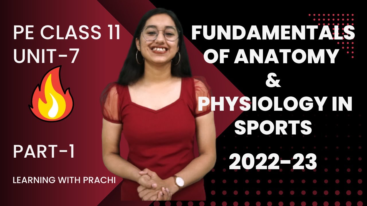 PE CLASS 11 UNIT 7 FUNDAMENTALS OF ANATOMY & PHYSIOLOGY IN SPORTS #physicaleducationclass11 #unit7