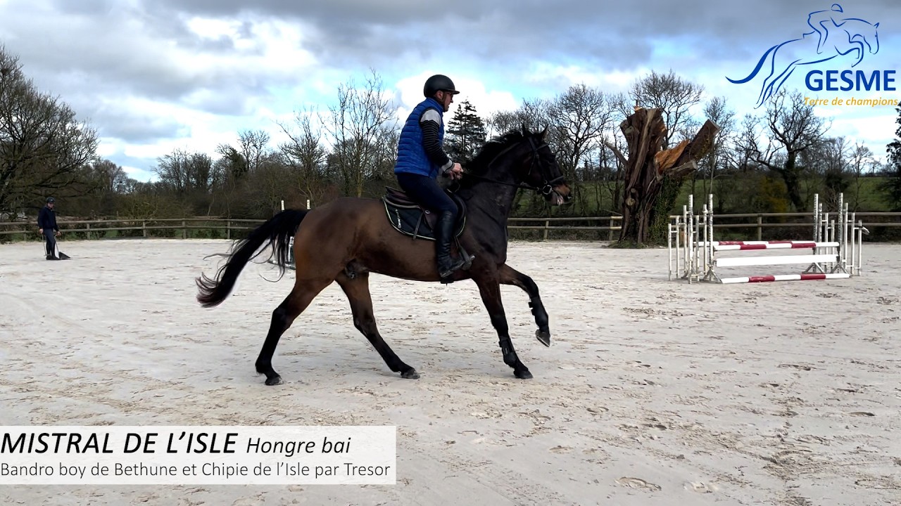 TRAINING POST VENTE - MISTRAL DE L'ISLE