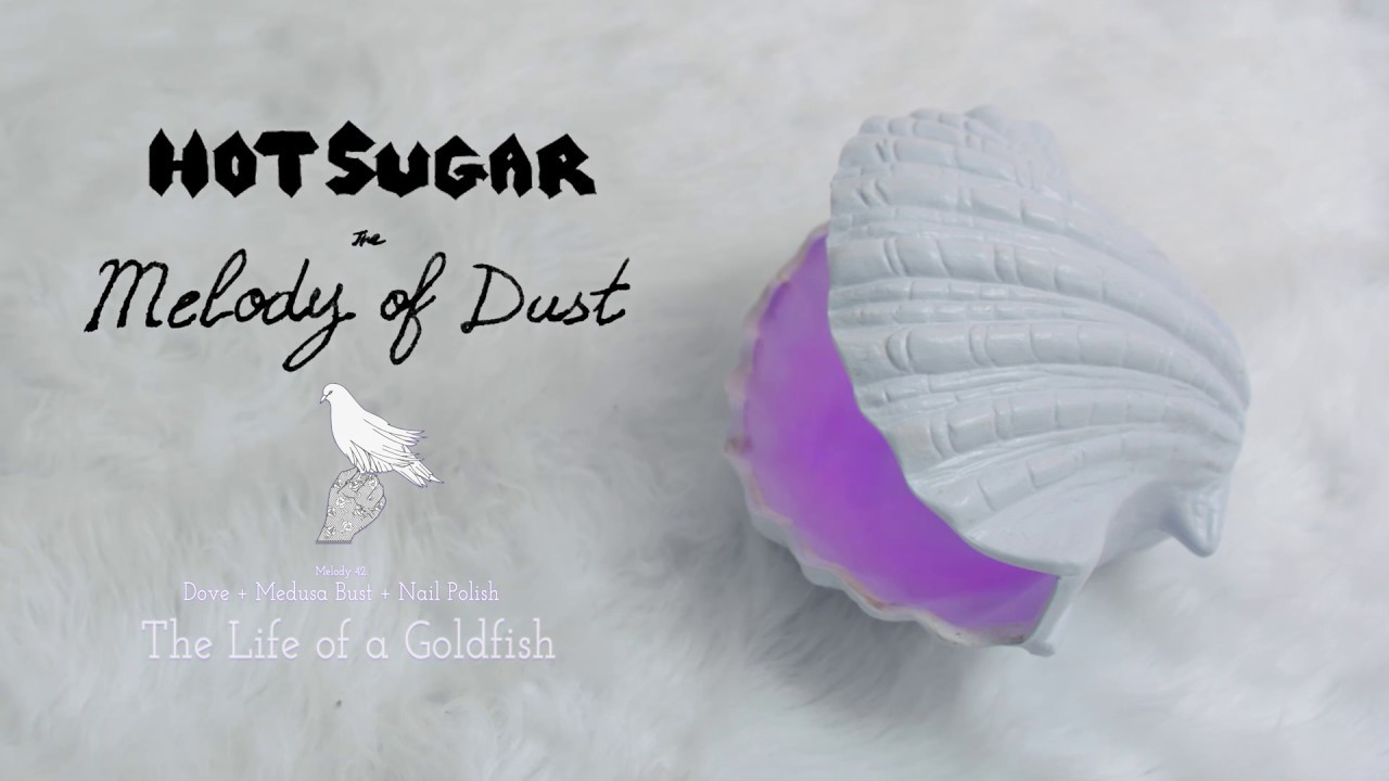 Hot Sugar - The Life of a Goldfish