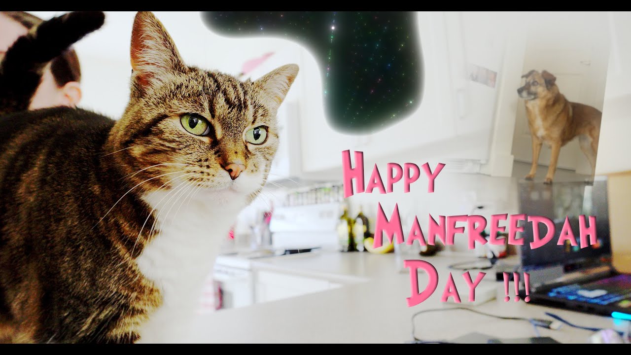 20250307 happy manfreedah day