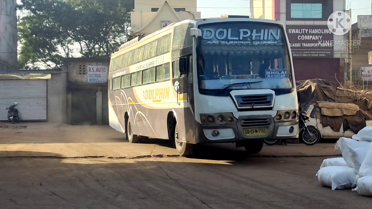 Two beautiful Dolphin Bus Parking one after the other
