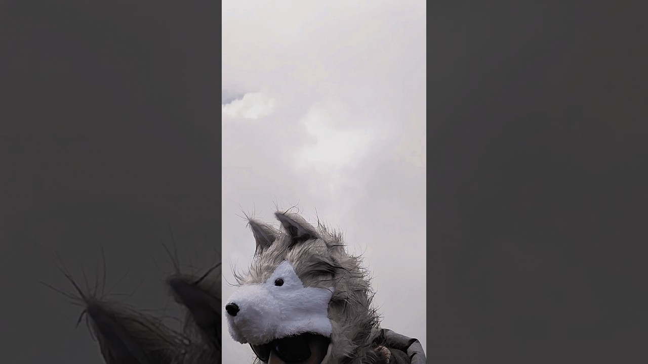 Que debes hacer en el volc&aacute;n Cotopaxi