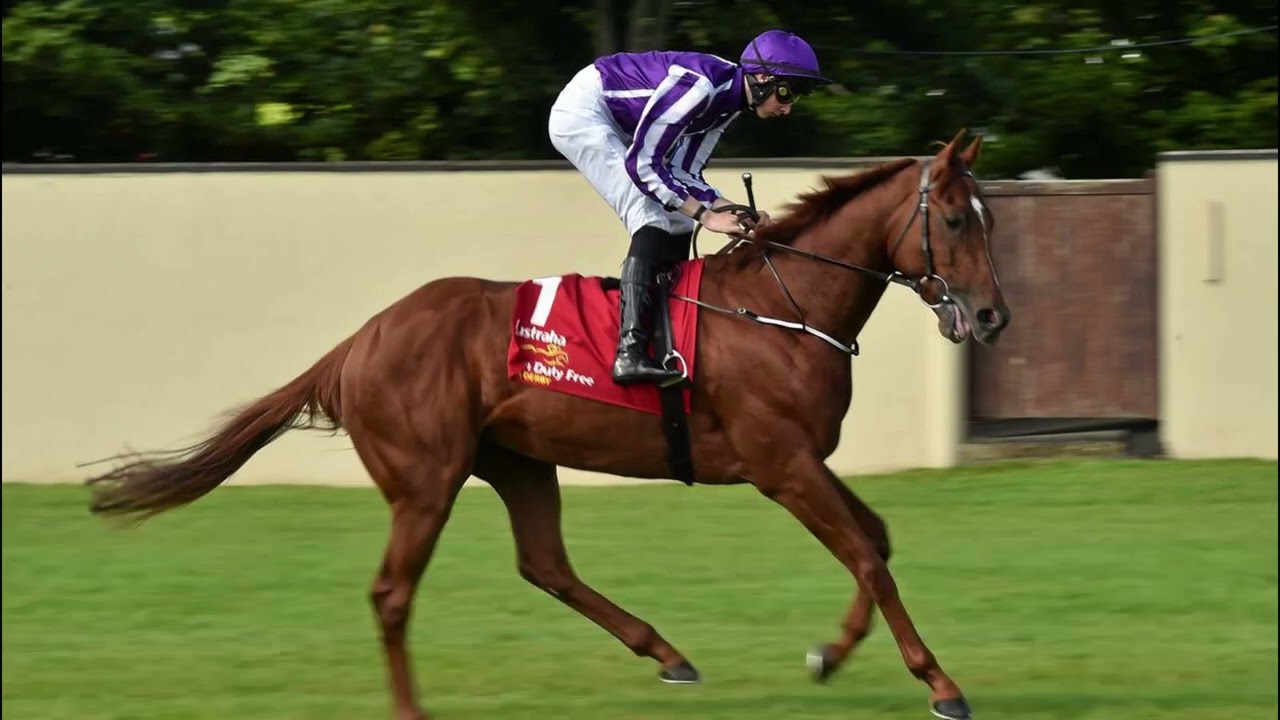 Galileo's Classic Winners