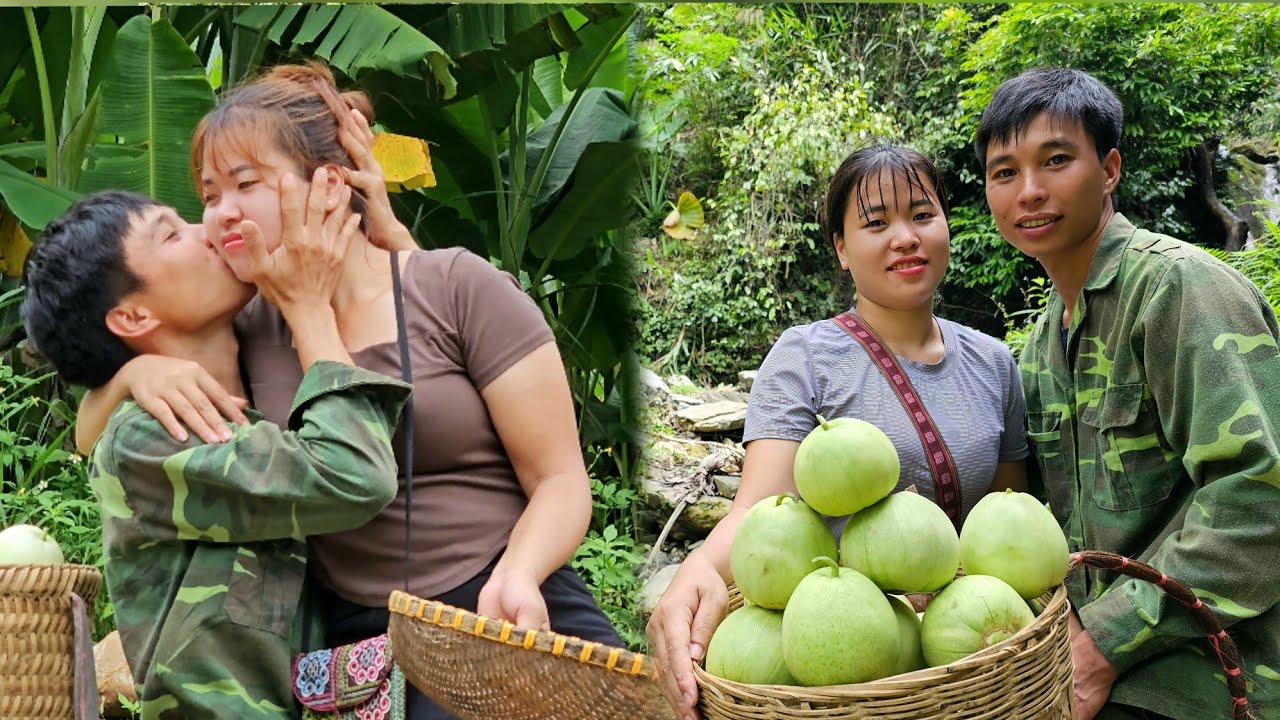 Linh's and Dần together Harvest melons to sell at the market. Daily life  - Linh's Life