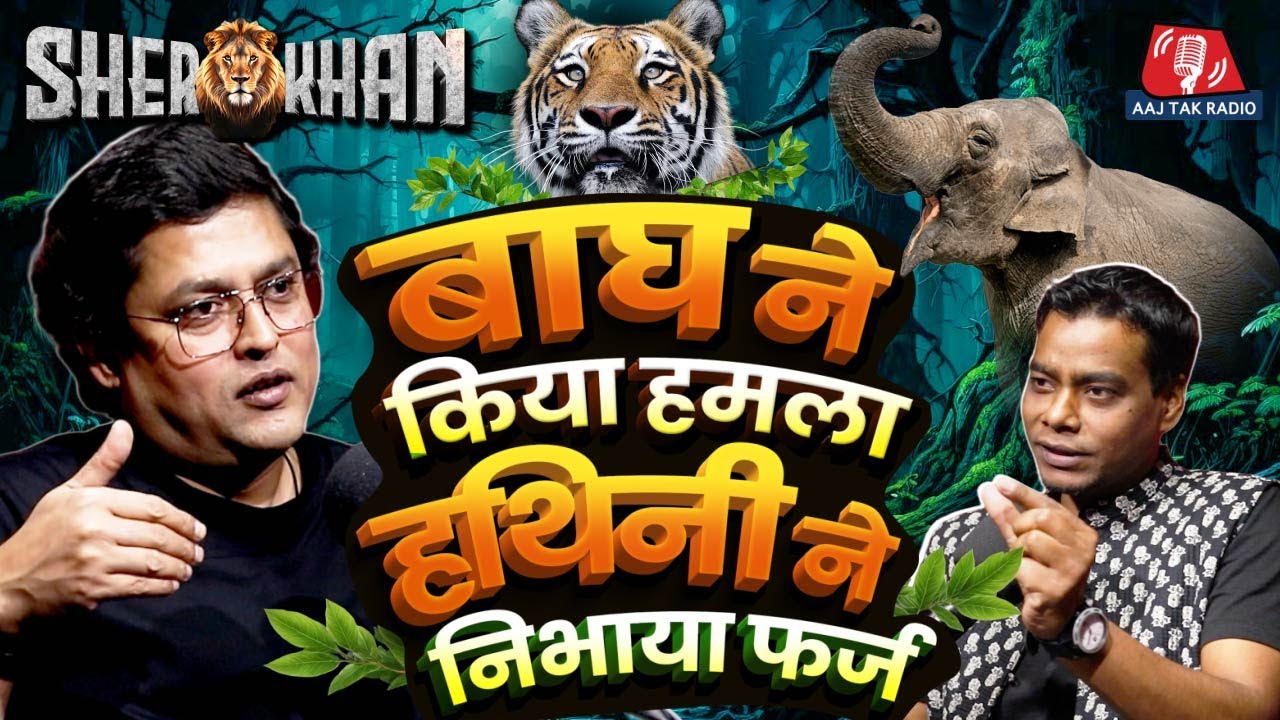 When Tiger Attacked & Elephant Saved: बाघ का हमला, हथिनी का फर्ज | SherKhan | Episode - 02