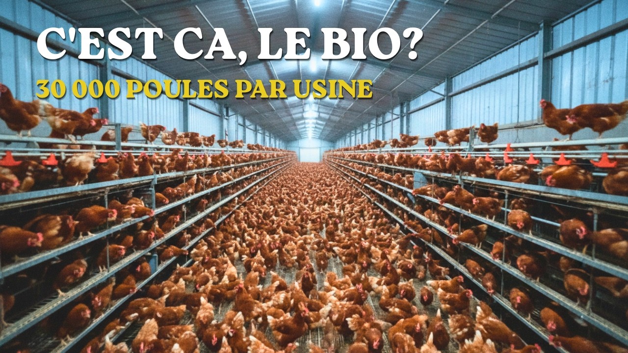 BIO : J'ai vu comment les supermarch&eacute;s vous font payer 150% de plus.