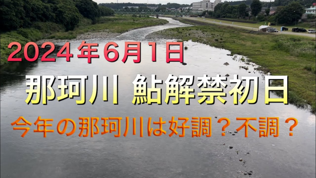 《鮎釣り》2024年6月1日、那珂川鮎解禁！初の河川で苦戦した釣行。ショートスペシャル80【Vol.4】GSフィッシング倶楽部
