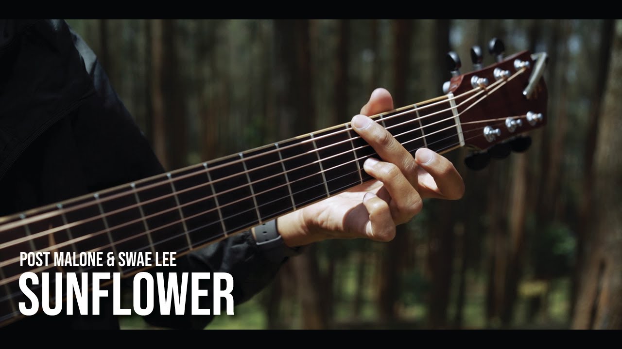 sunflower🌻 - Post Malone & Swae Lee (fingerstyle guitar cover)
