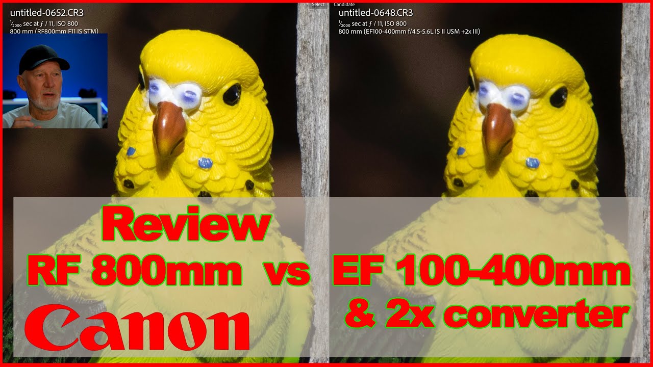 Which telephoto for the R5? Canon RF 800mm vs EF 100-400 with 2x teleconverter on the R5 and EOS R.