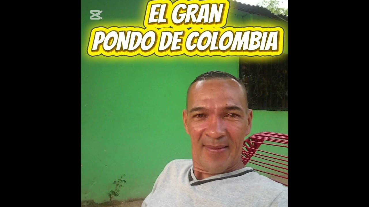 AS&Iacute; NO ES (EL PONDO DE COLOMBIA)