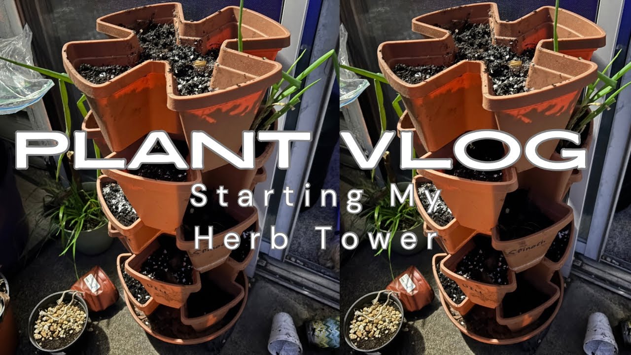 Starting My Herb Tower🌿 |Planting Cherry Tomatoes|Starting Lavender Seeds Indoors