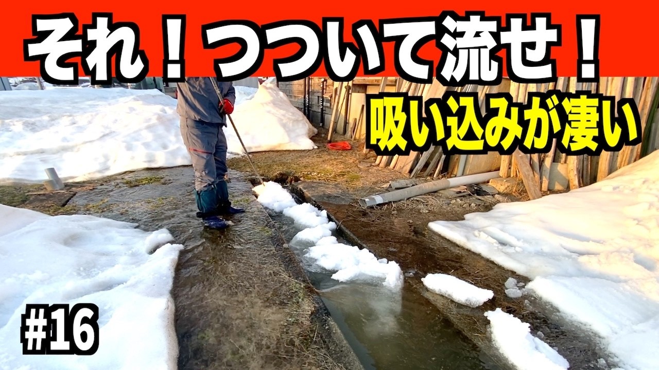 【ドボンその16】雪がだいぶ消えた裏水路！！2026-03-27（金）武七の除雪・雪かき日記　dobon snowremoval snowplow ASMR