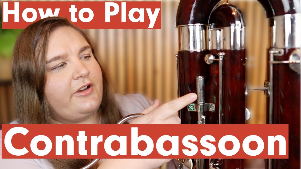 Intro to the Contrabassoon