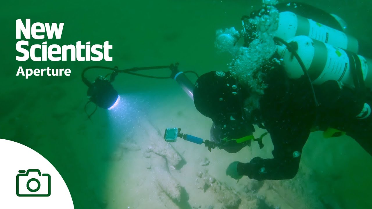 Shipwrecked treasures: The divers uncovering HMS Gloucester's relics