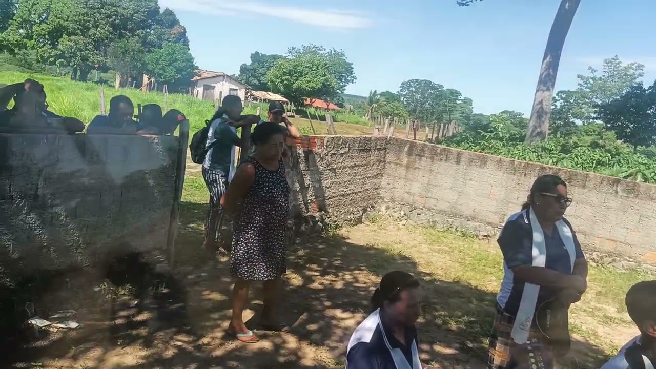 Folia dos meleta 2026