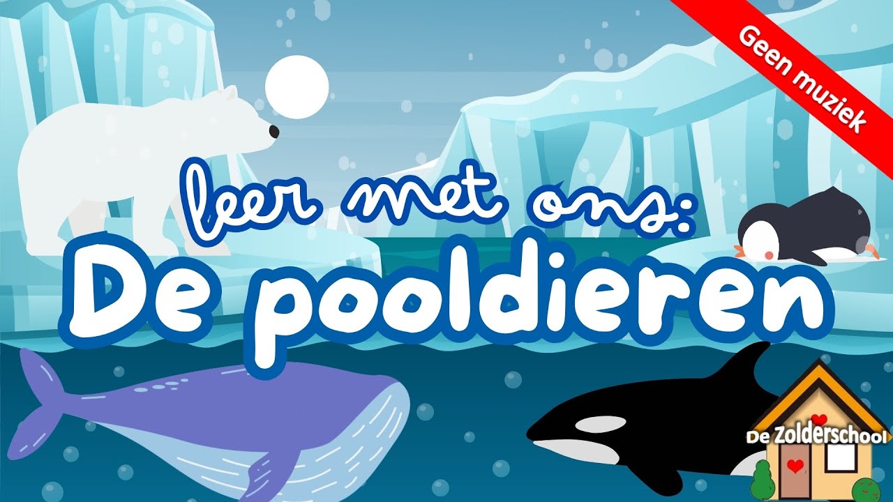 Leer met ons: de pooldieren - zonder instrumenten | polar animals in dutch