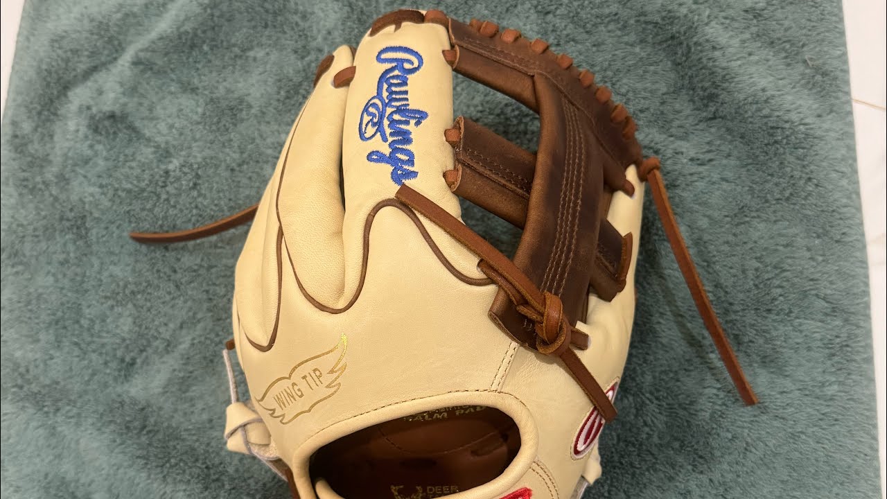 NEW Glove Day! | Rawlings Custom Heart of the Hide Pro204W-1 