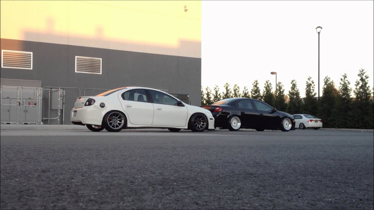 MINY Collective Stanced Srt-4's