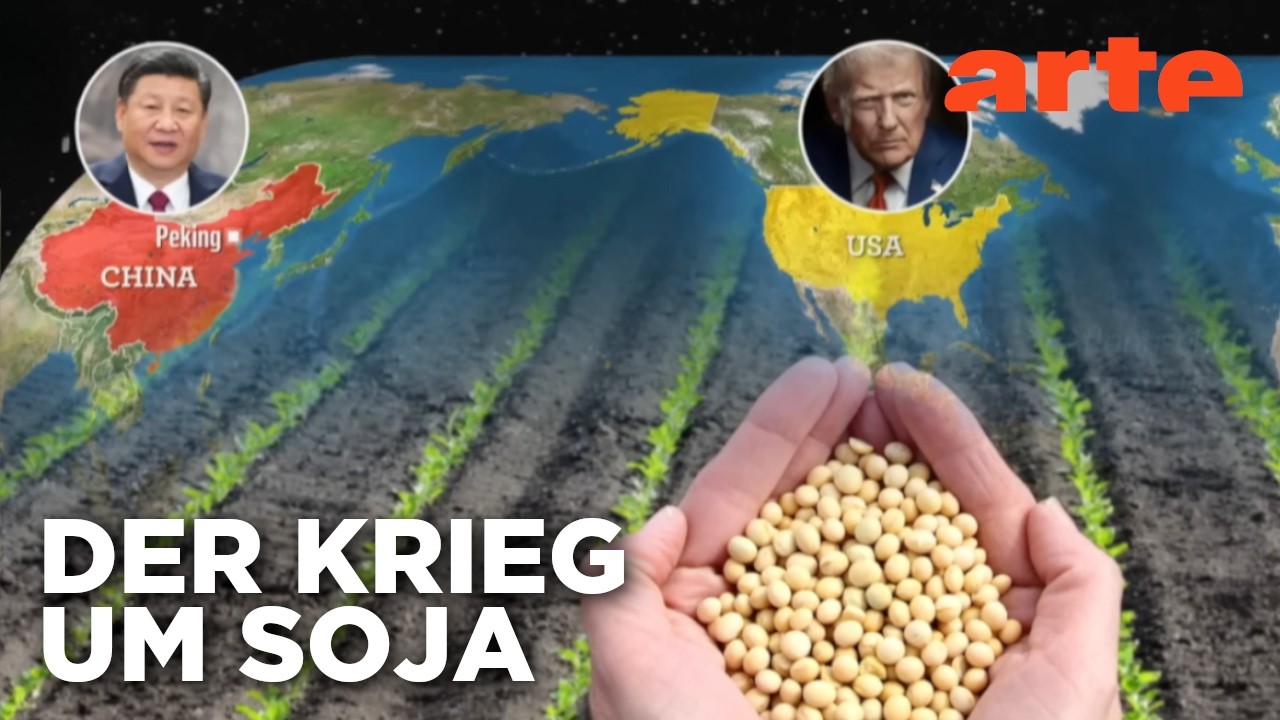 Die Sojabohne, eine geopolitische Pflanze | Mit offenen Karten | ARTE
