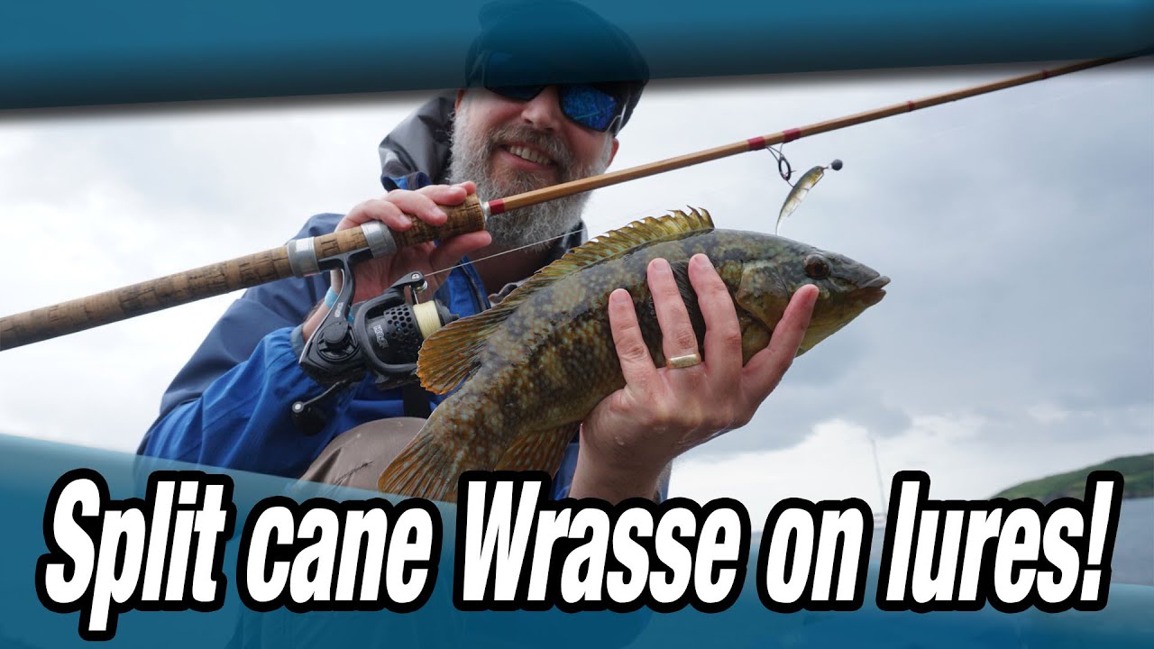 Fishing for Wrasse with old Split Cane rod.