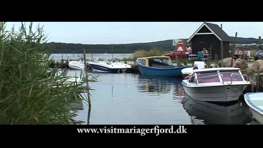 Lystfiskeri ved Mariager Fjord | Seatrout Mariager Fjord