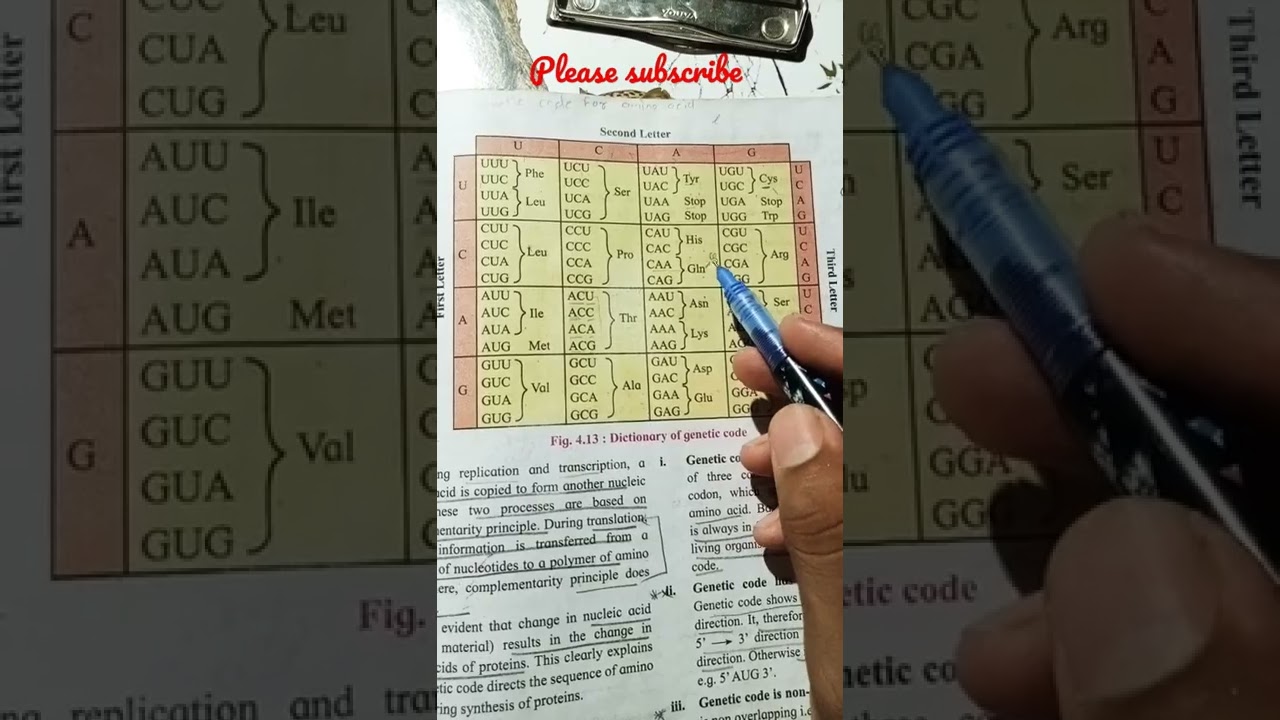 Genetic code chart best trick || trick for biology molecular basis of inheritance 👈