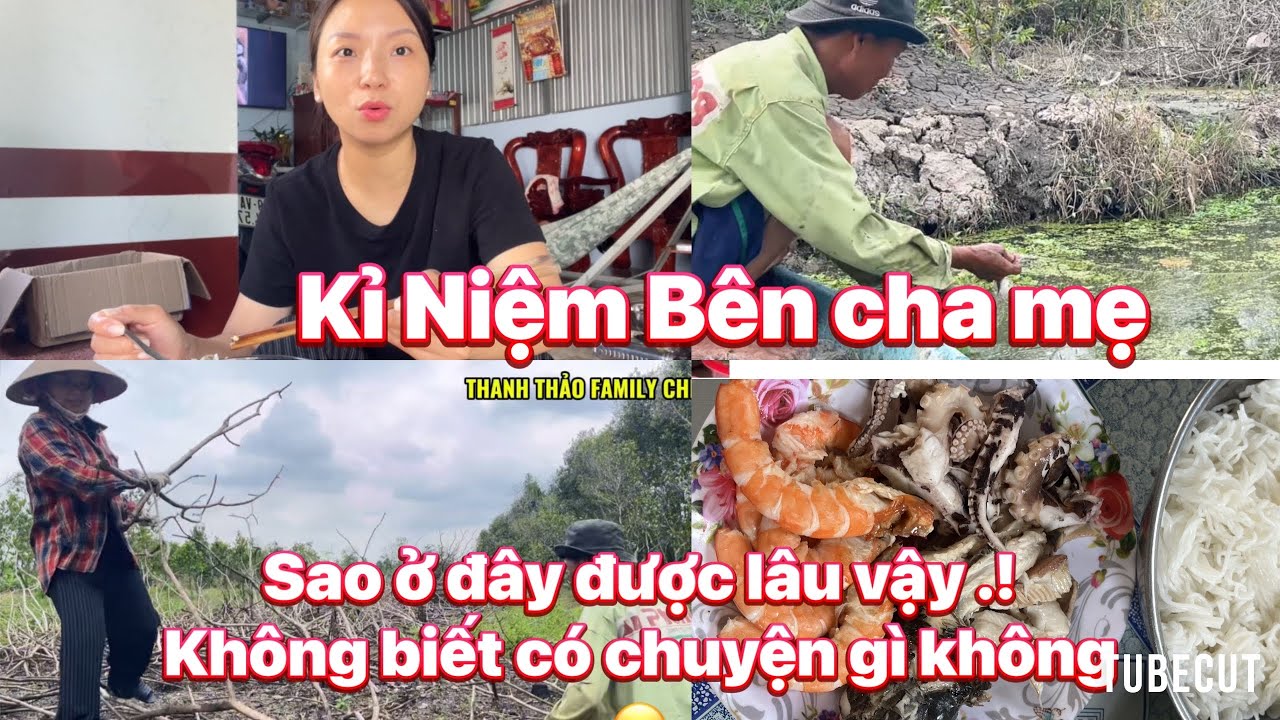 Cuộc Sống Thường Ngày Ở Vn -Mẹ Nấu Nồi Bún Mắm Tranh Thủ Ăn Rồi Đi Kiếm Cá ,Cả Ngày Mệt mà Vui .!