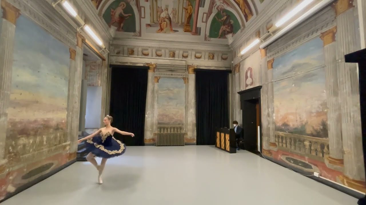 Variazione tratta dal balletto “La figlia del faraone“ Florian Fedora 5Ac Liceo coreutico P. Gobetti