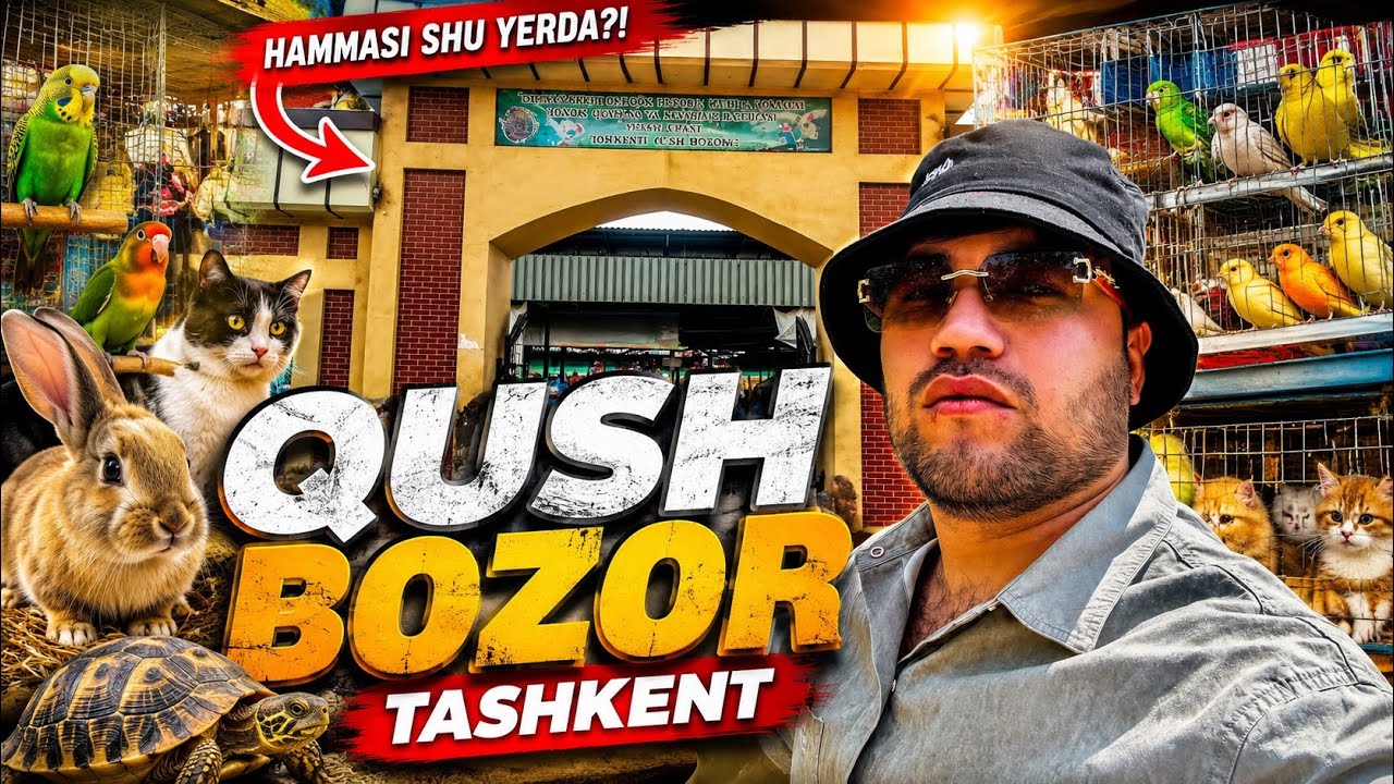 QUSH BOZOR | КУШ БОЗОР  Qoraqamish