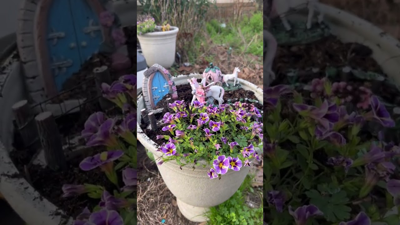 Spring Beginnings