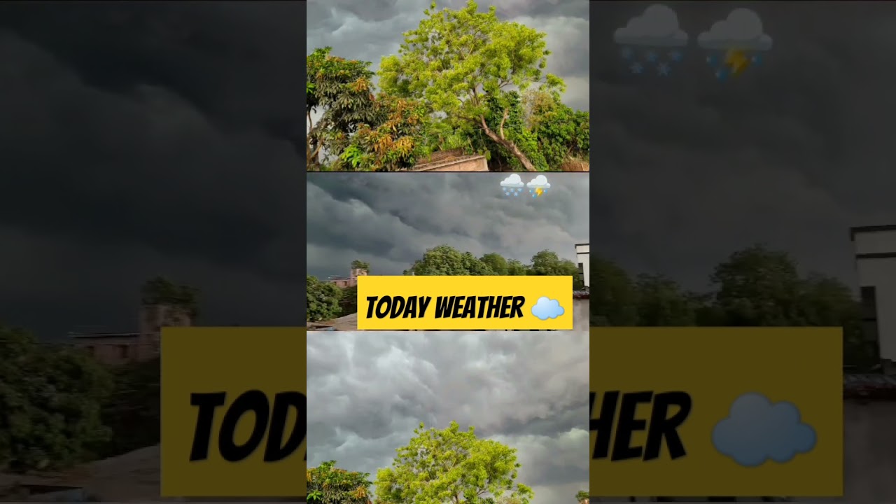 Today Weather In Araria #shorts #viral #weatherupdate #newsong #punjabisong #love #araria