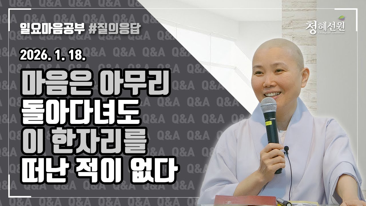 2026.01.18. [청혜선원] 일요공부ㅣ질의응답 시간  