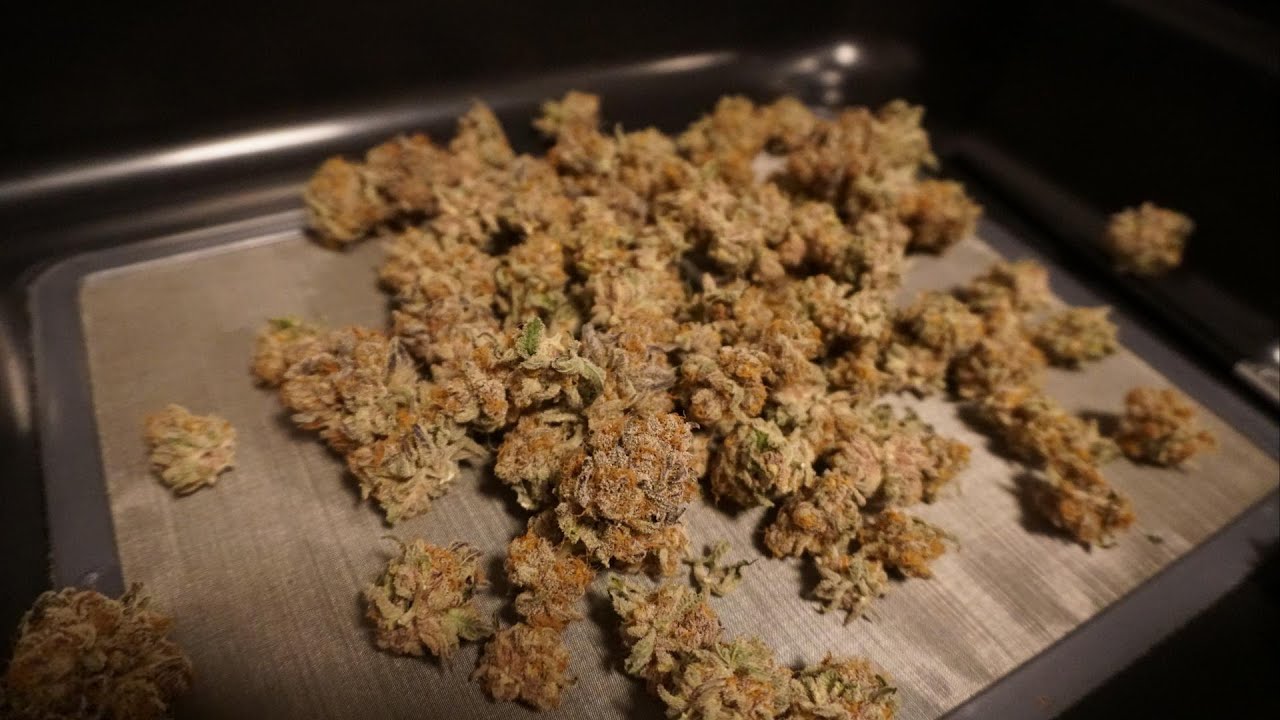 Homegrow (Mimosa & Blue Dream) Samen bis Ernte Cannabis