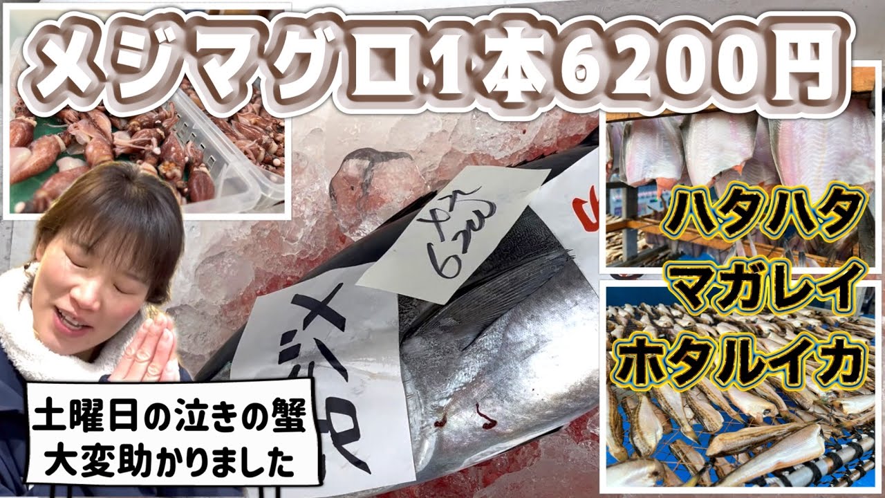 『メジマグロ1本6200円！土曜日泣きの蟹助かりました感激』#激安  #魚屋　#相木魚問屋 #敦賀   8/3/2