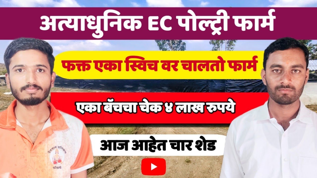 ओपन शेड पासून सुरुवात, उभारले अत्याधुनिक EC पोल्ट्री फार्म #ecpoultryfarm